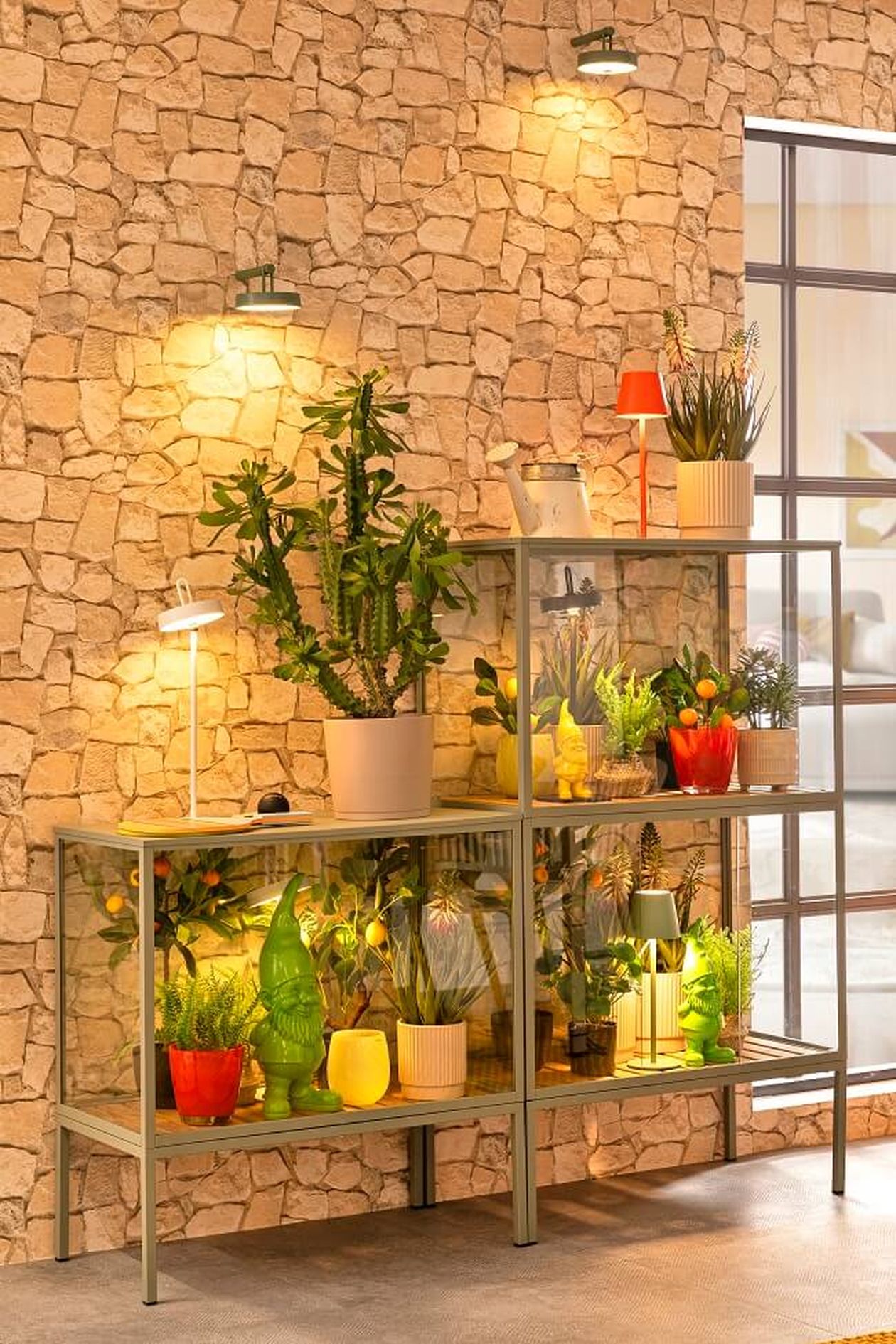 Garten-Setup mit verschiedenen Pflanzen in Töpfen auf gestaffelten Glasregalen, sanfter Beleuchtung und einer Steinmauer im Hintergrund in der Nähe eines großen Fensters.