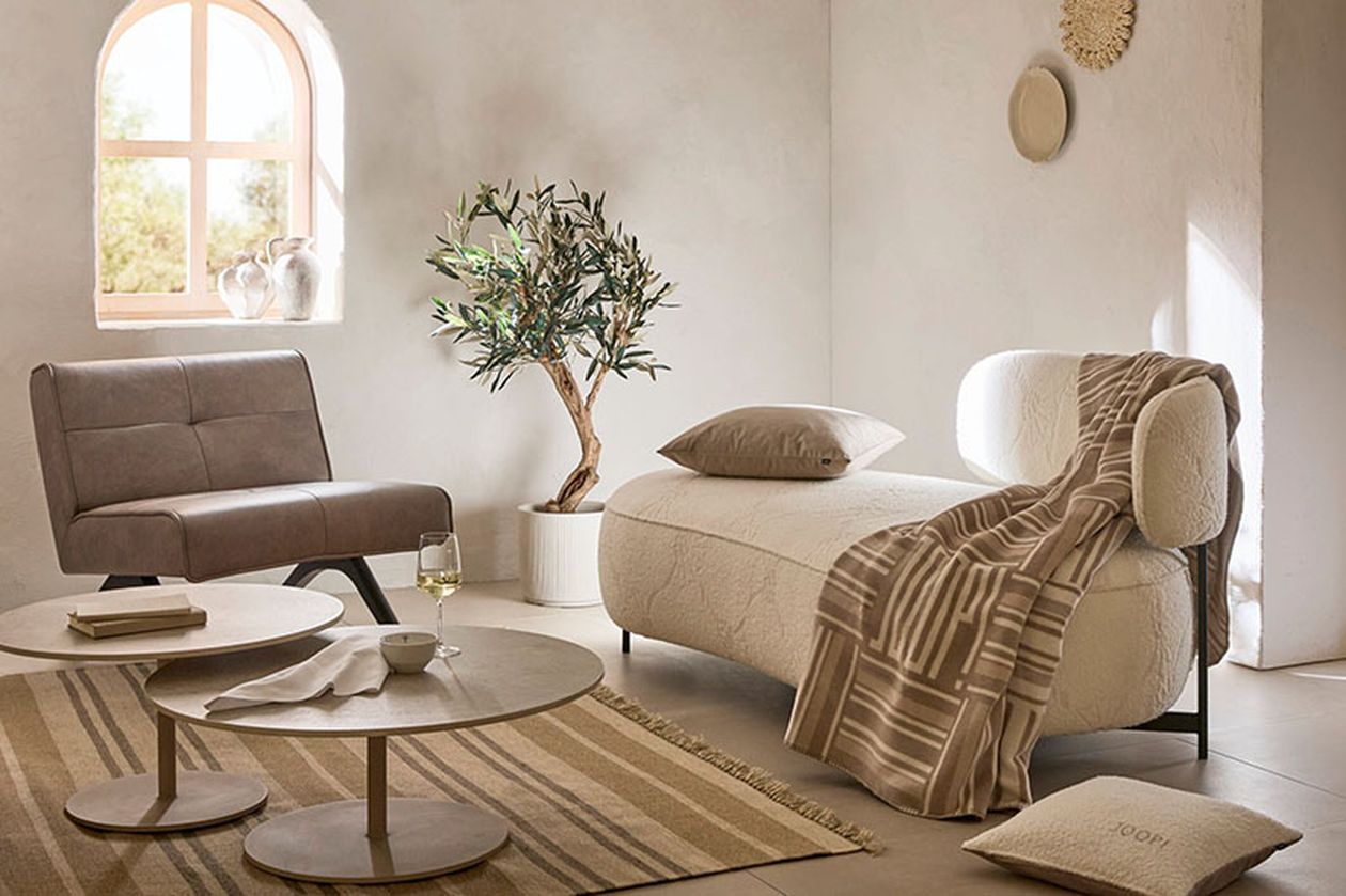 Gemütliches Wohnzimmer mit modernen Möbeln, einem Olivenbaum und einem gestreiften Teppich. Sanftes Licht durch ein Fenster schafft eine warme und einladende Atmosphäre.