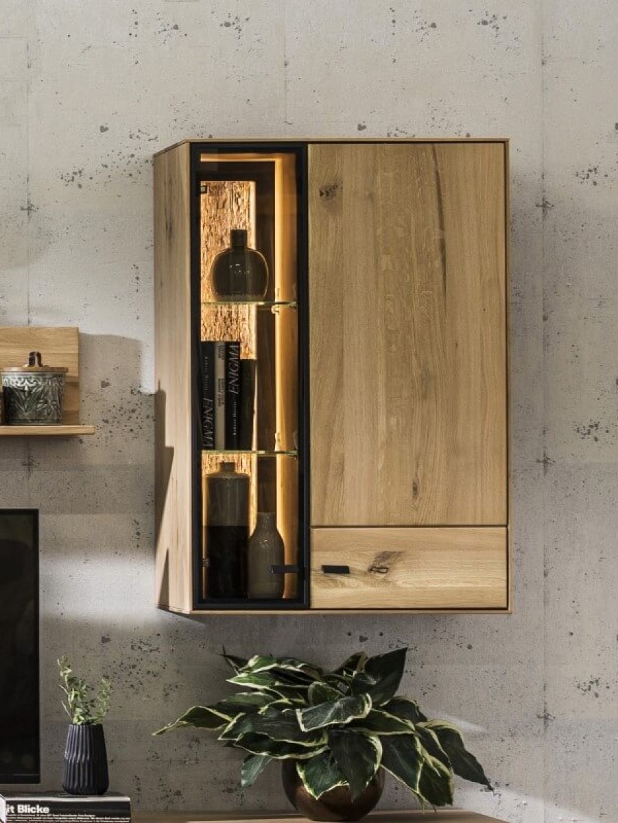 Hängevitrine aus edlem Holz mit zwei Türen, eine davon verglast und beleuchtet. Hinter verglaster Tür stehen Bücher und Gefäße. Unter der Hängevitrine stehen Pflanzen auf einem Lowboard.