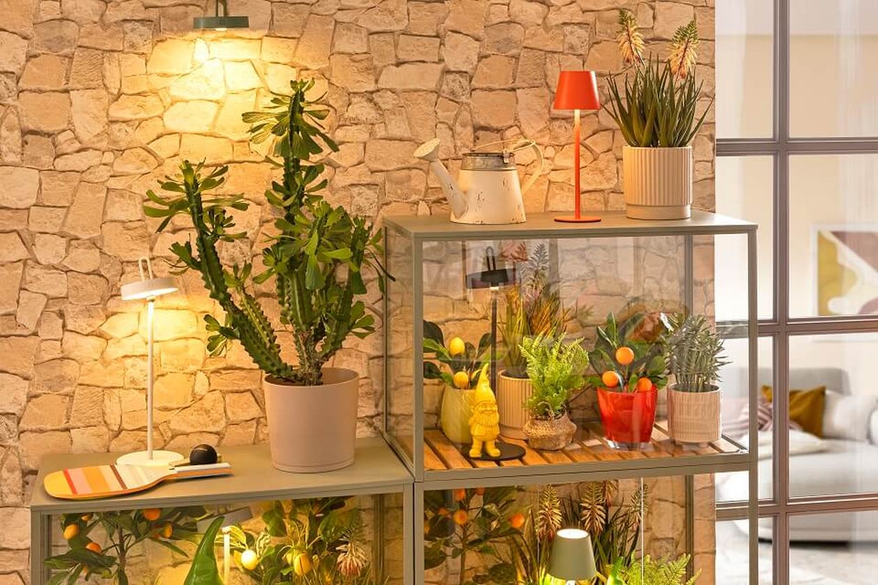 Ein Garten mit Topfpflanzen auf gestapelten Regalen, beleuchtet von verschiedenen Lampen, vor einer Wand mit Steinstruktur.