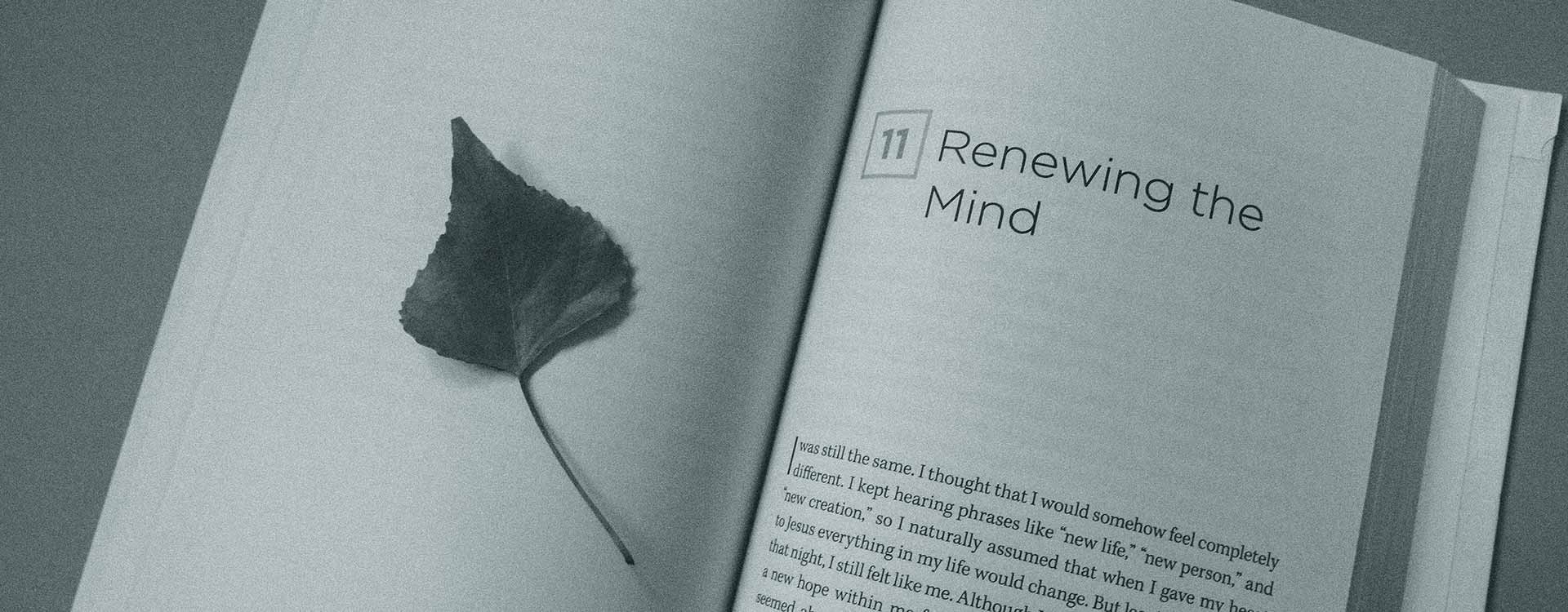 Tertarik Untuk Membaca Novel Bahasa Inggris Ini Dia Beberapa Tips Untuk Memahaminya Dengan Mudah