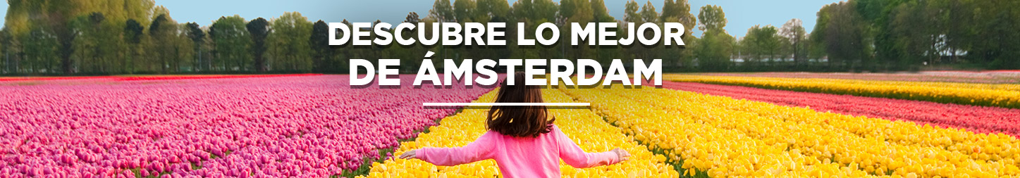 Las mejores actividades para hacer en Ámsterdam