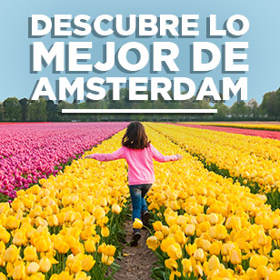 Las mejores actividades para hacer en Ámsterdam