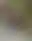 Floating Image