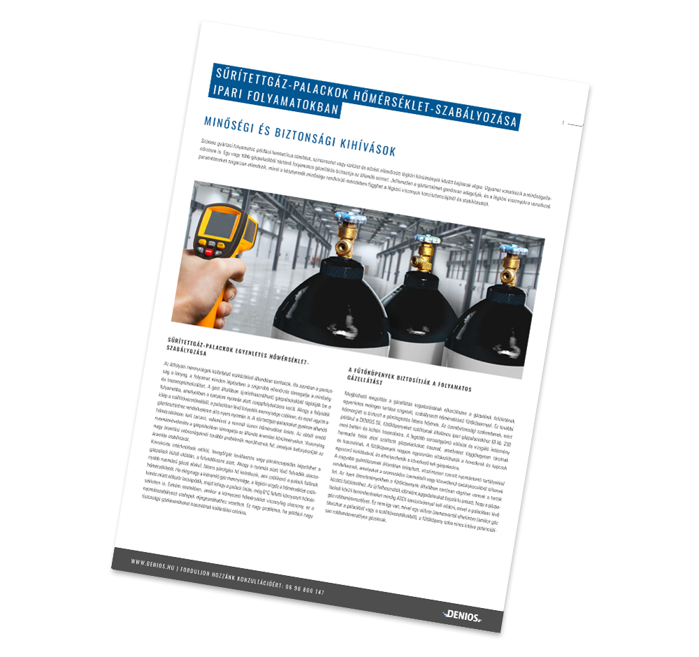 Whitepaper "Allestire correttamente un deposito per sostanze pericolose"