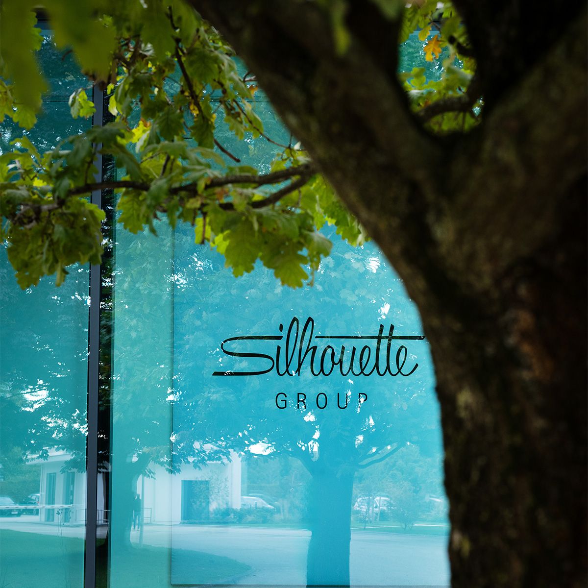 Silhouette has always been focused on the environment. Since 1964.