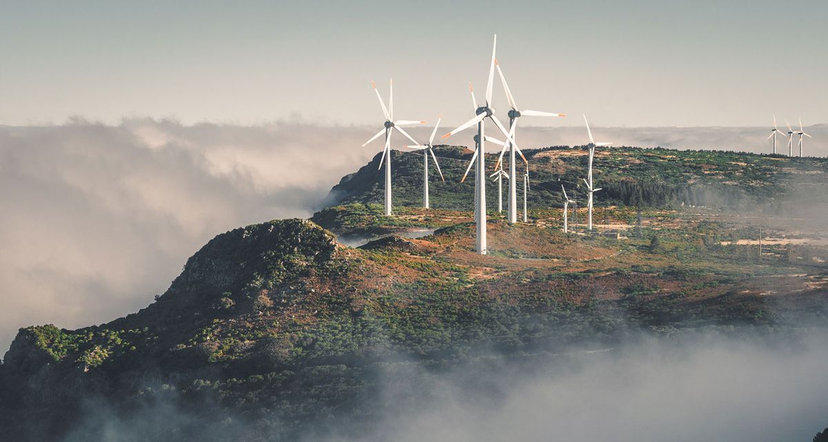 100 Prozent CO2 klimaneutraler Strom