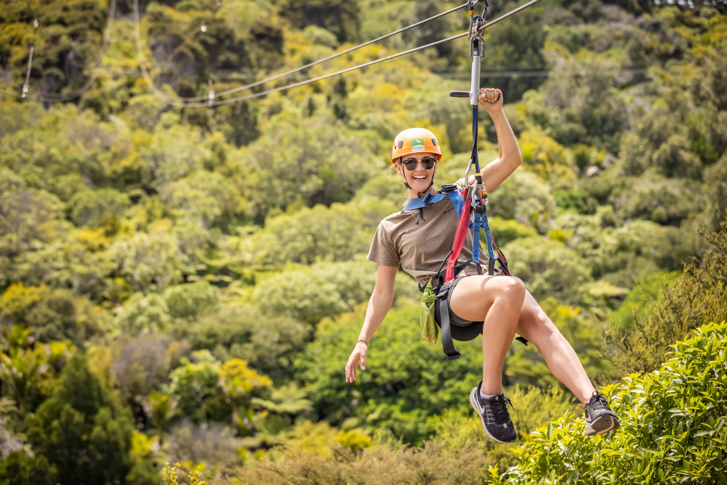 Zipline Waiheke
