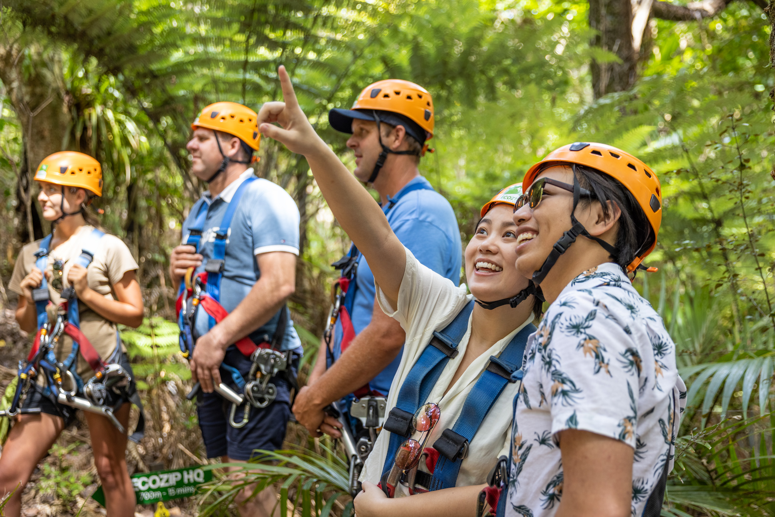 Zipline Waiheke