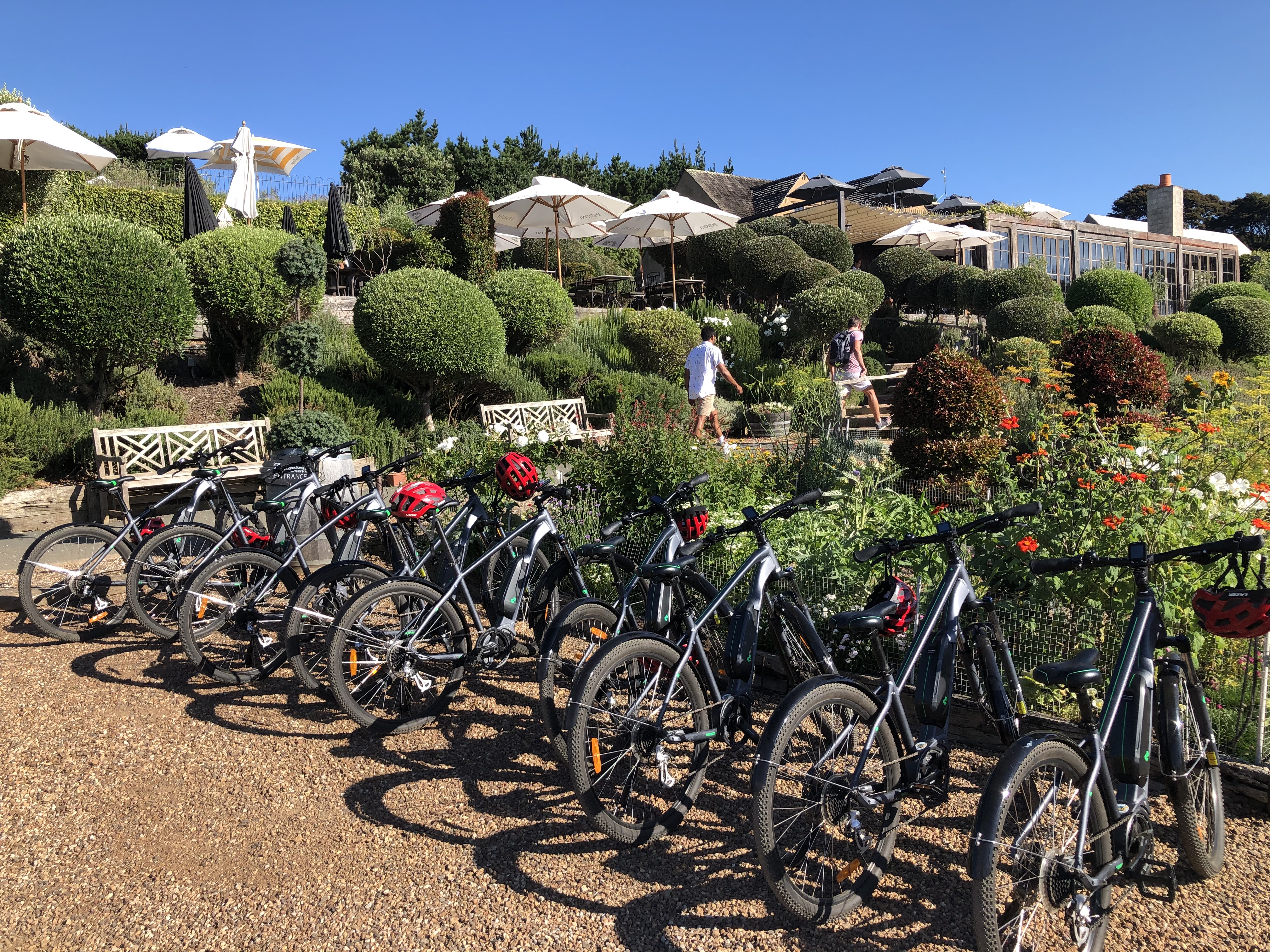 Waiheke Bike Hire