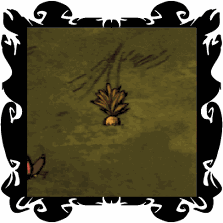 Don't Starve Together Beginner's Tutorial (Days 15) at the minute