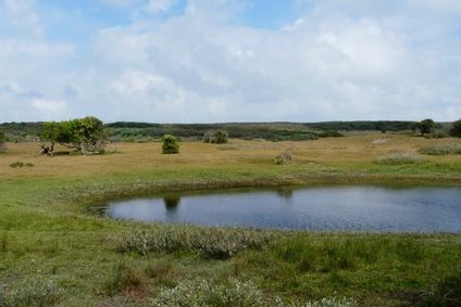 Bericht afbeelding