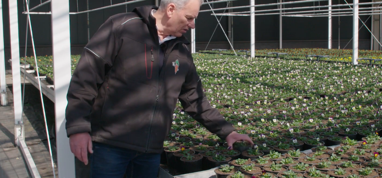 Agrifoodpluim voor duurzame teler op Brabantse zandgronden