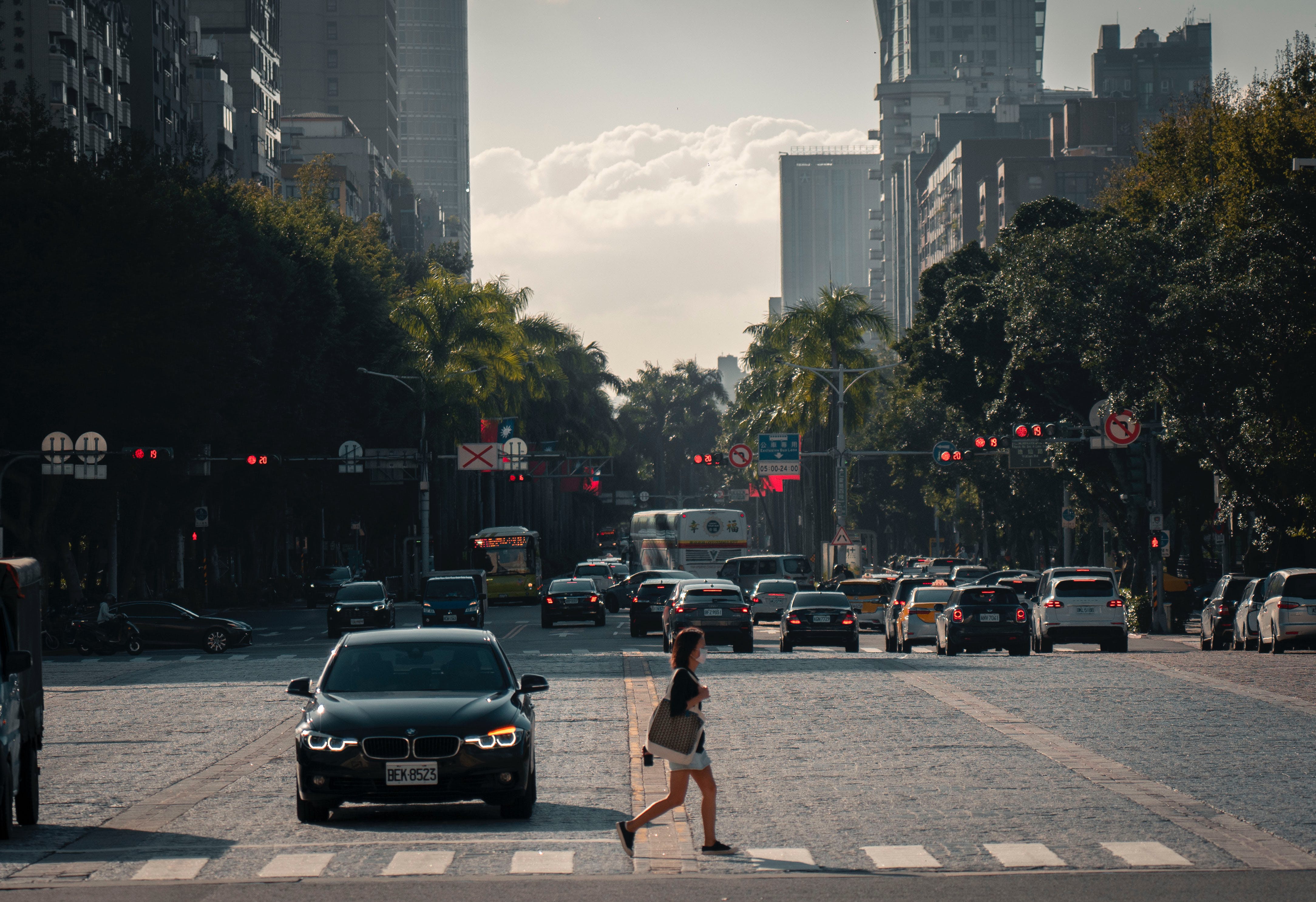 The First Car for Beginners - Guide