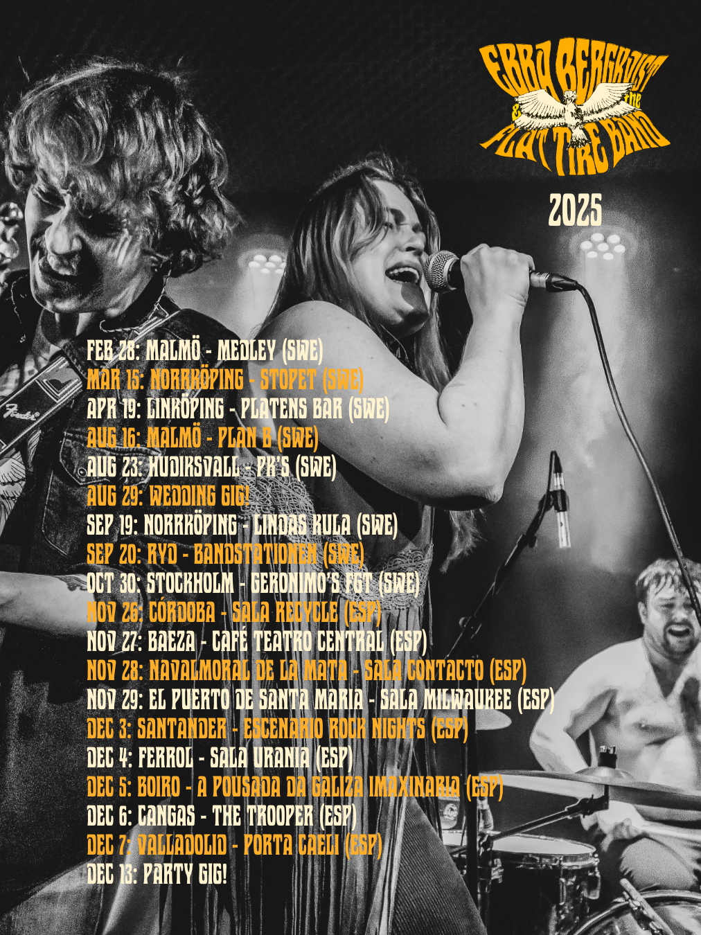 Ebba Bergkvist & the flat tire band image