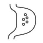 pikto_verdauung_und_stoffwechsel192x192px