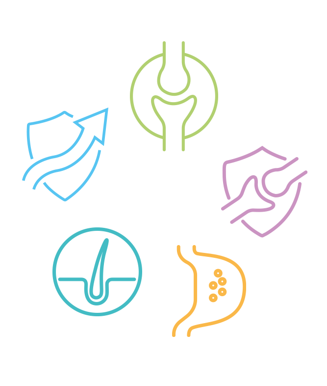 icons_vitalkonzept_667x786px_brandelemen_var1