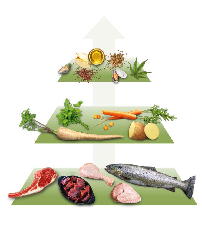 brandelement_ernaehrungspyramideallgemein_667x786px
