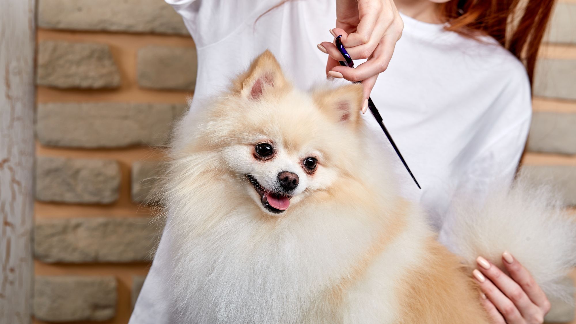 Animal care software. EasyWeek