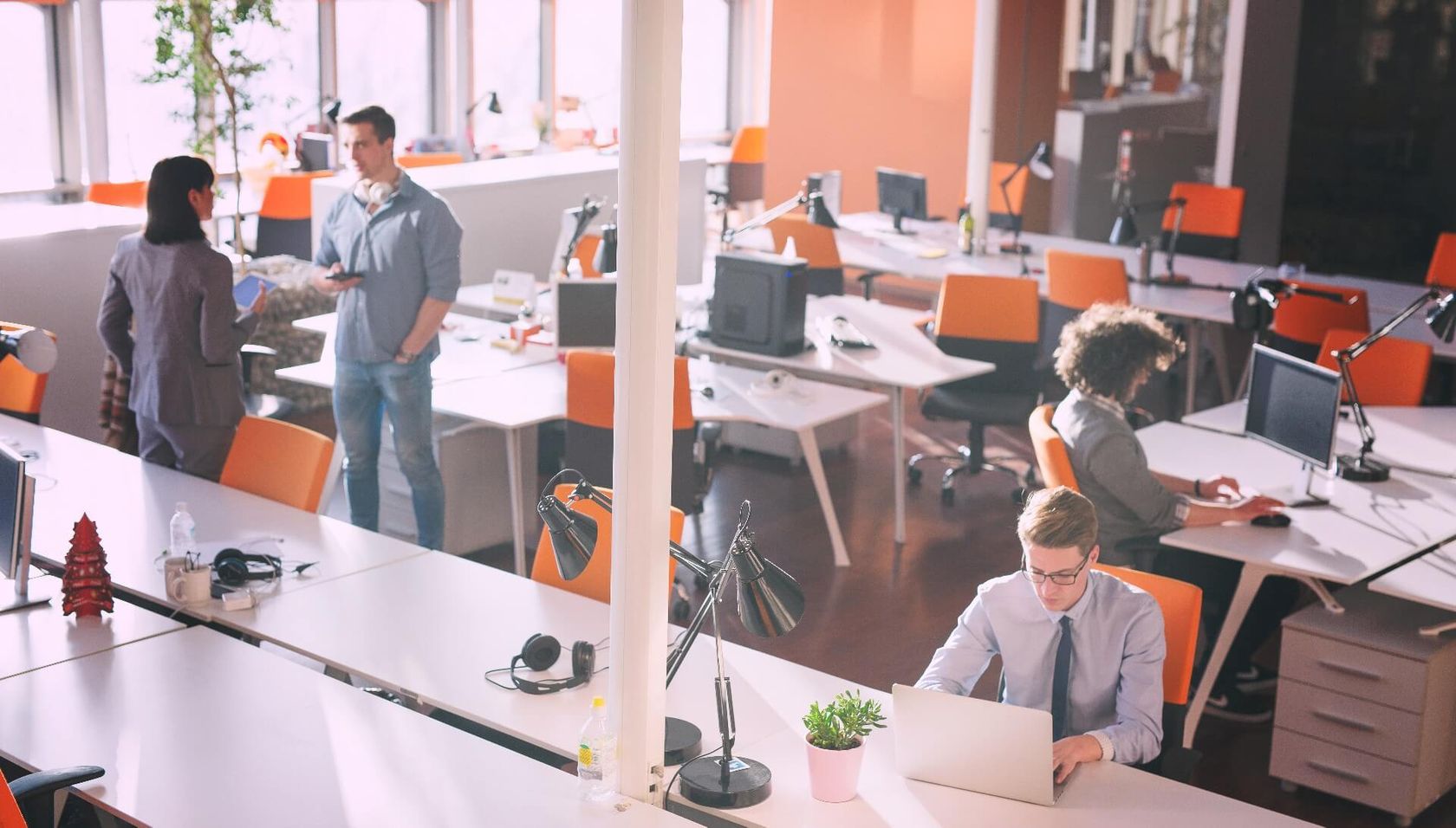 Custom Software Development House