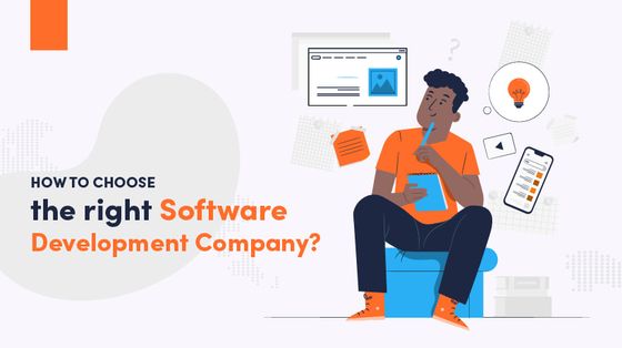 How To Choose The Right Software Development Company? (Part 1) | Devs skills