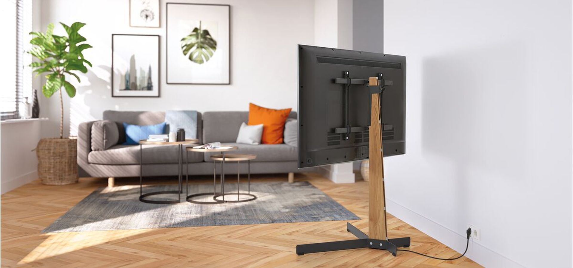 Een zwarte TVS vloerstandaard | Vogel's