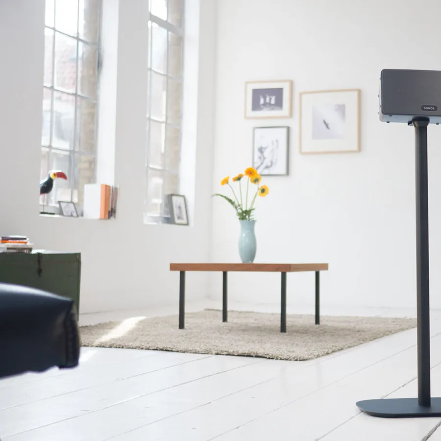 Speaker mounts and stands for stylish home audio, cat included | Vogel's