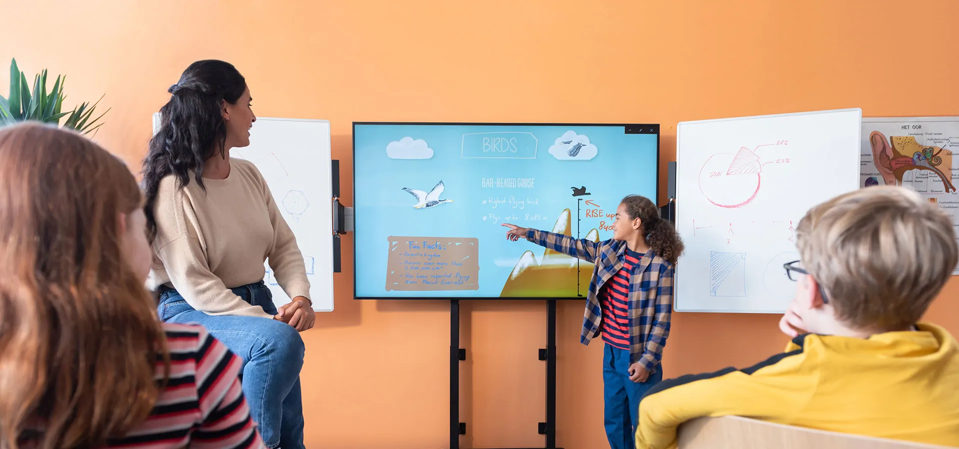 Motorized display lifts for education purposes | Vogel's