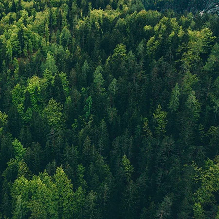 For the planet | Vogel's