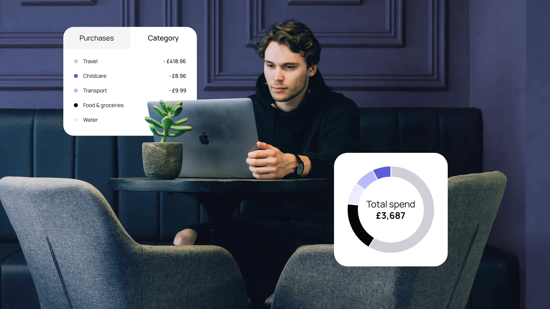 A person in a cafe using a laptop. On-screen data shows spending categories and a total spend of £3,687, with a plant nearby.