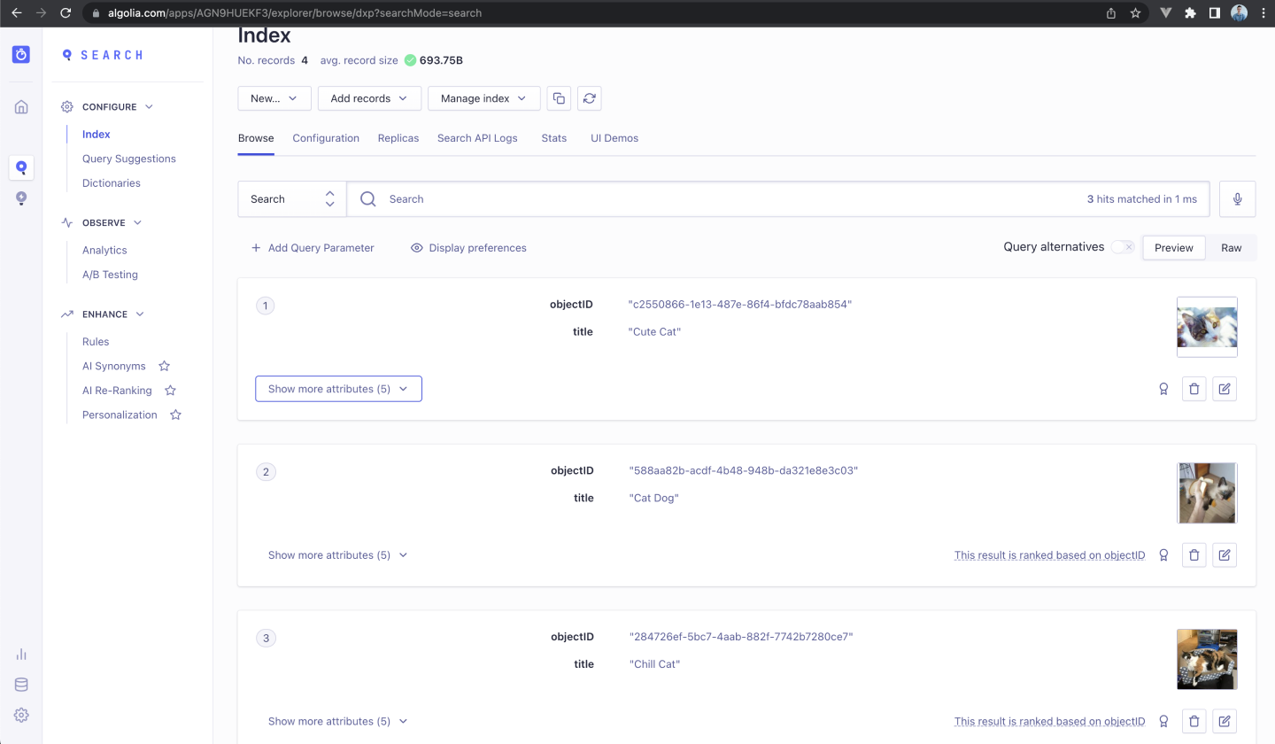 Algolia user dashboard