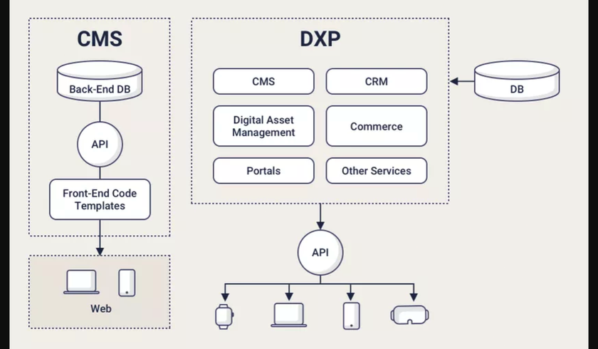 Digital experience platforms explained