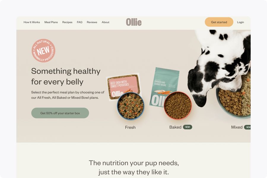 Ollie best sale cat food