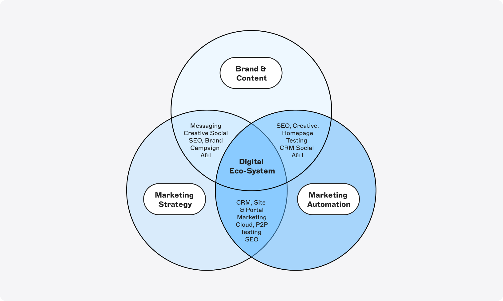 Venn diagram showing the digital ecosystem at the center, intersecting with Brand & Content, Marketing Strategy, and Marketing Automation.