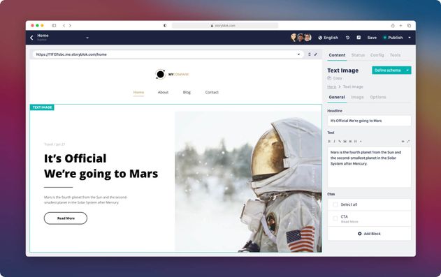 Multi Tenant Cms Storyblok