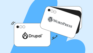 Illustration of Drupal and WordPress logos on stylized browser windows against a blue and light blue background.