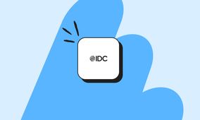 IDC logo