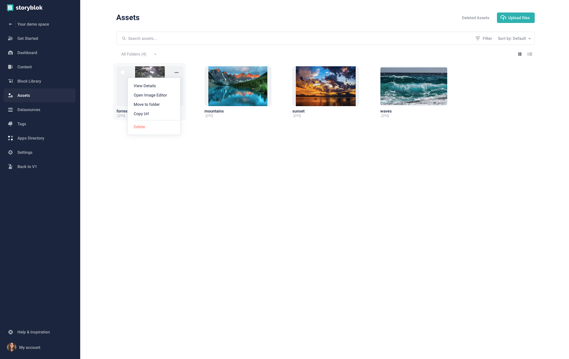 Asset manager editing screen 1