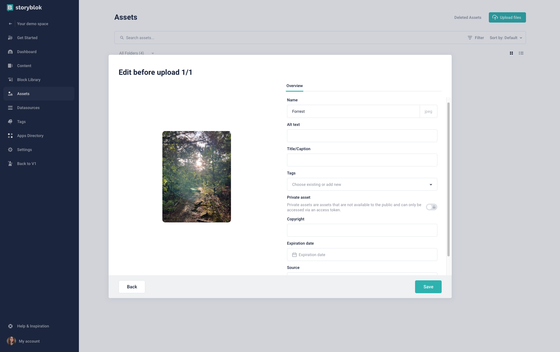 An image interface with options to add information to the asset