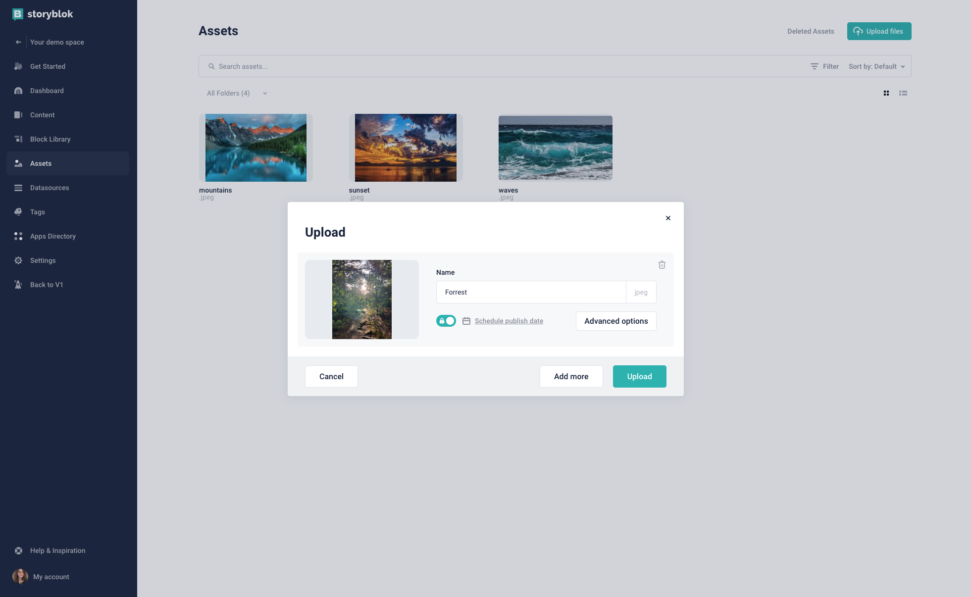 The asset manager upload screen.
