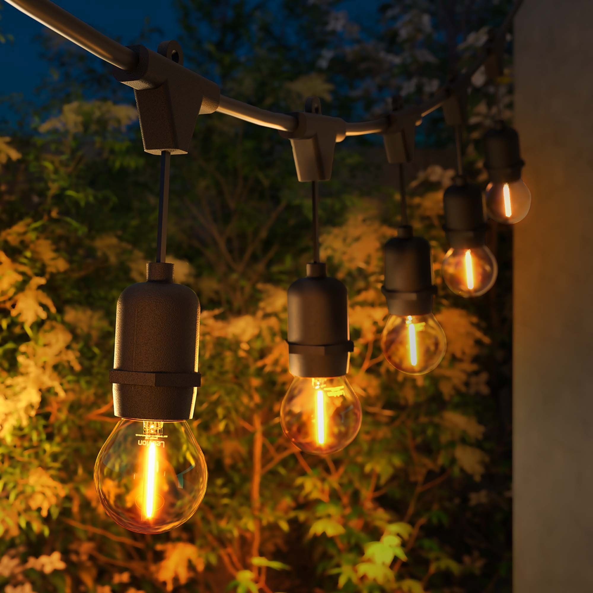 String lights with glowing bulbs hang in a garden, illuminating plants and creating a warm, inviting atmosphere at dusk.