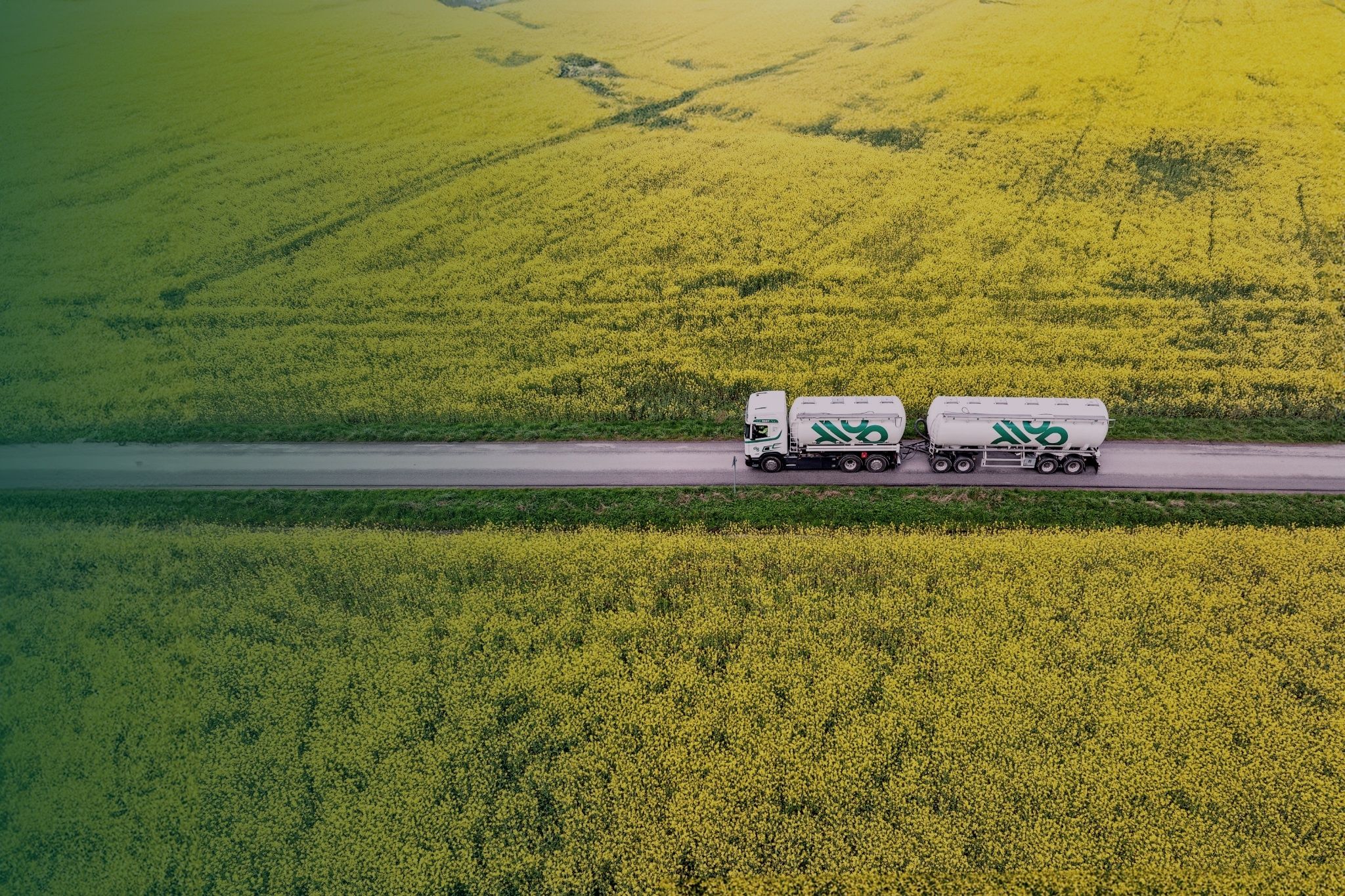 Aerial view of a tanker truck driving down a road through vast yellow fields, possibly canola, under a green-tinted sky.