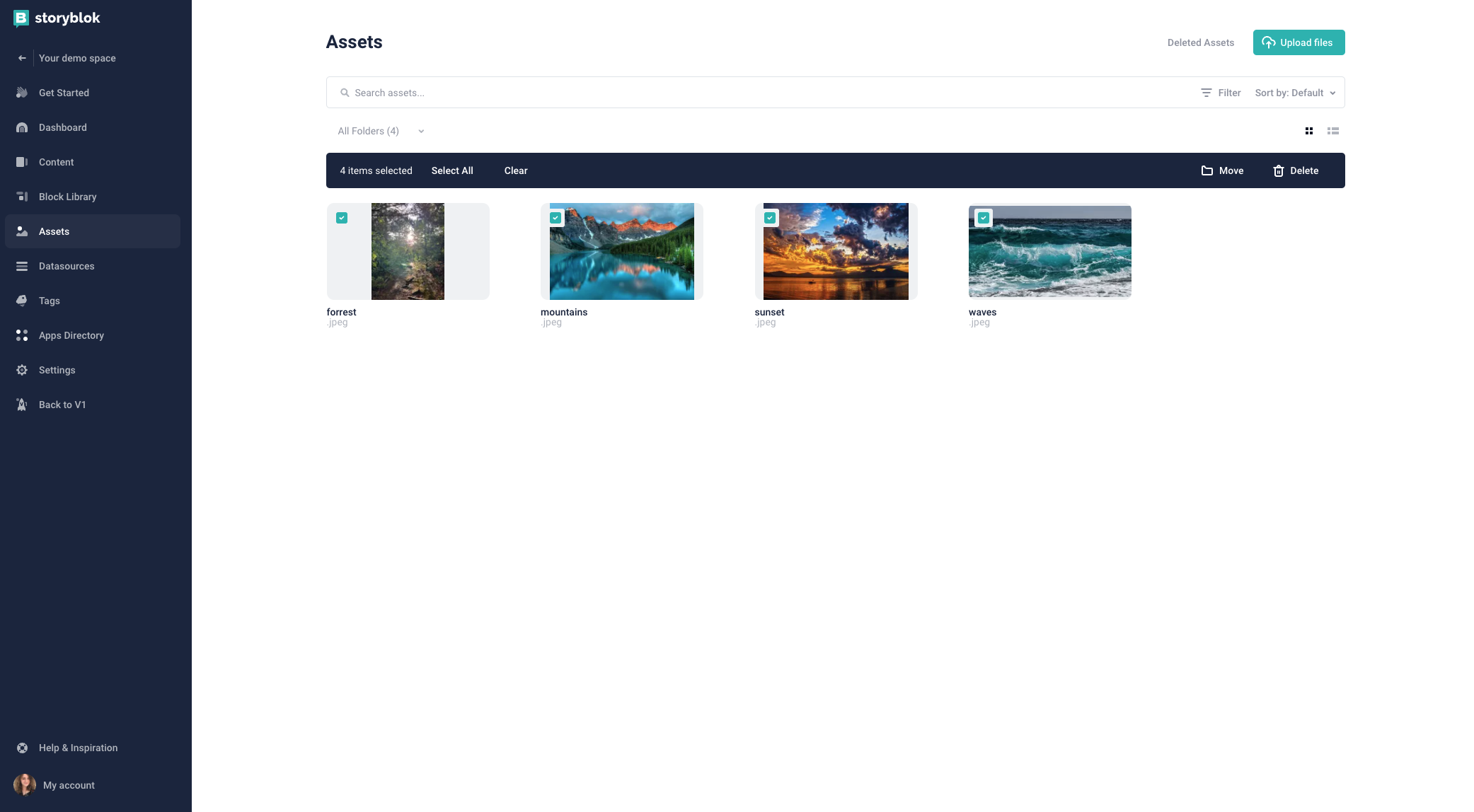 An image of Storyblok's interface for the digital asset manager.