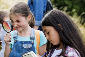 Nature Masterminds cover