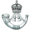RIFLES cap badge