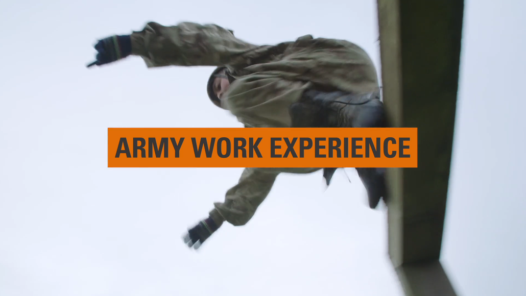 BASE work experience 