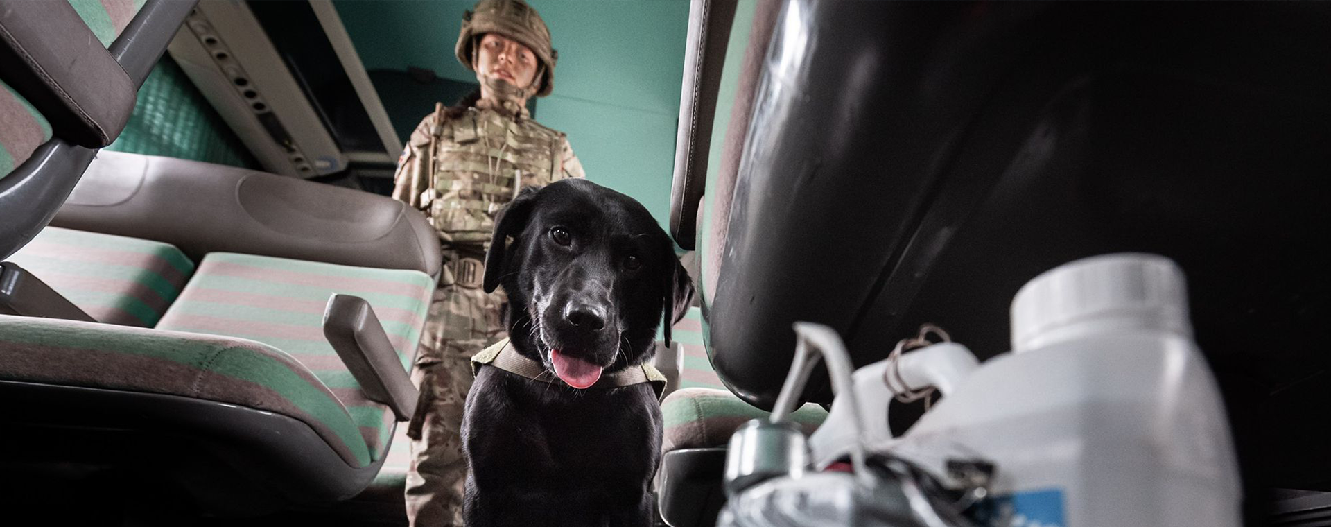 A black dog wearing a vest stands between bus seats, with a soldier in uniform behind and a suspicious object in the foreground.