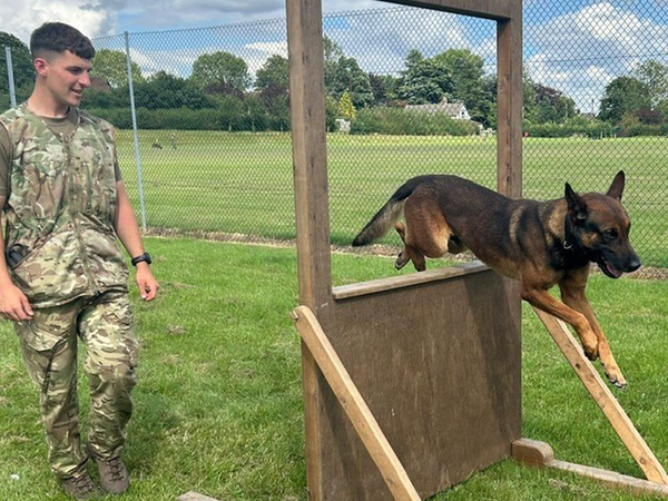Dog Handler and his dog training