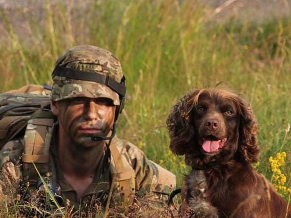 Soldier in camouflage lies in grassy field beside a brown spaniel dog, both looking forward.