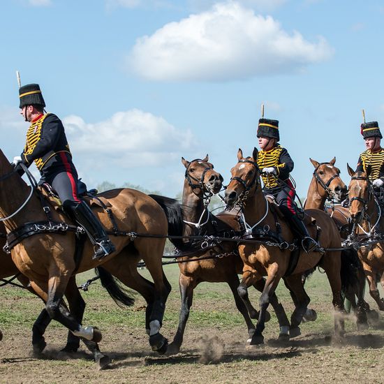 Ceremonial Gunners